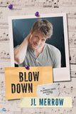 Blow Down (The Plumber's Mate Mysteries, #4)